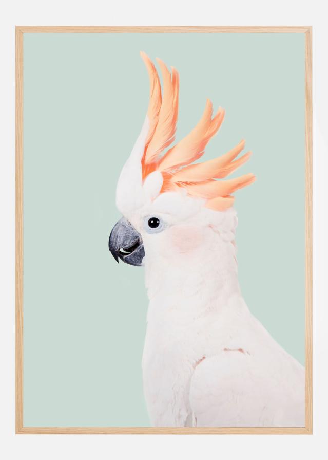 Cockatoo Poster