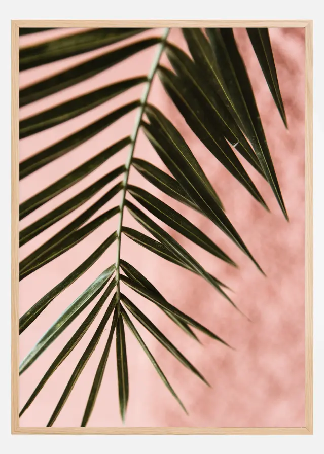 Pink pastell palm Poster