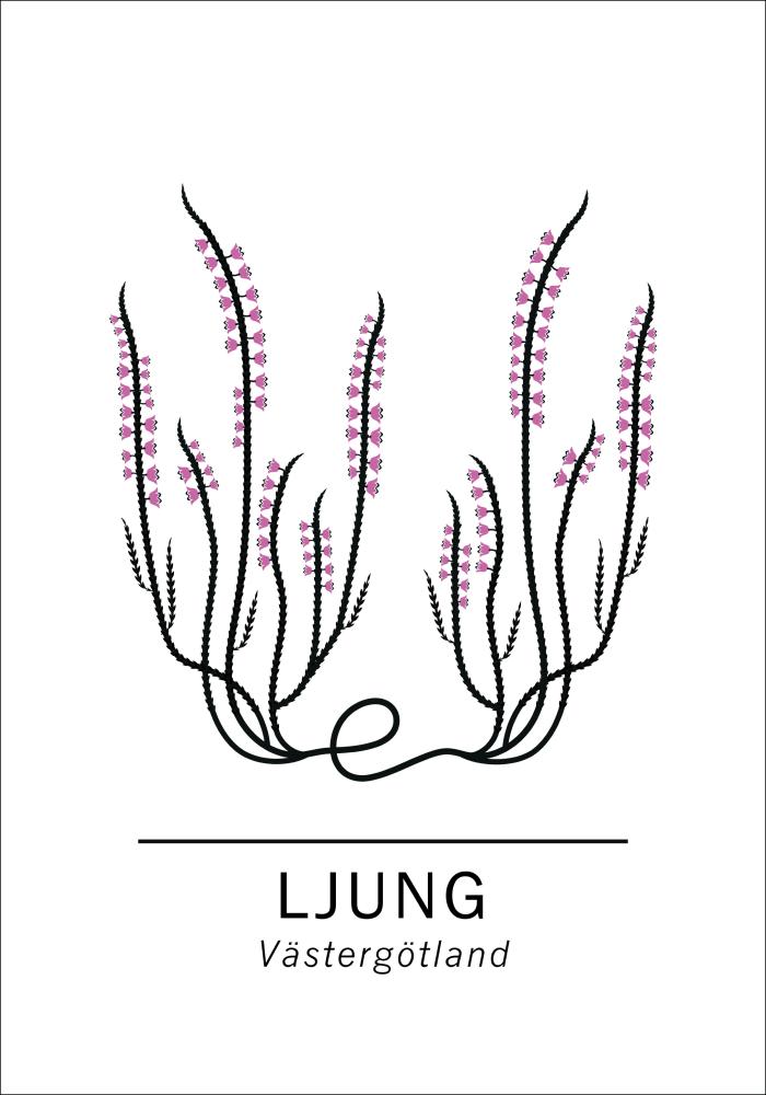 Ljung - Västergötland Poster