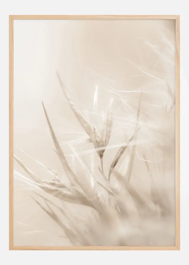 Beige Dried Straws l Poster