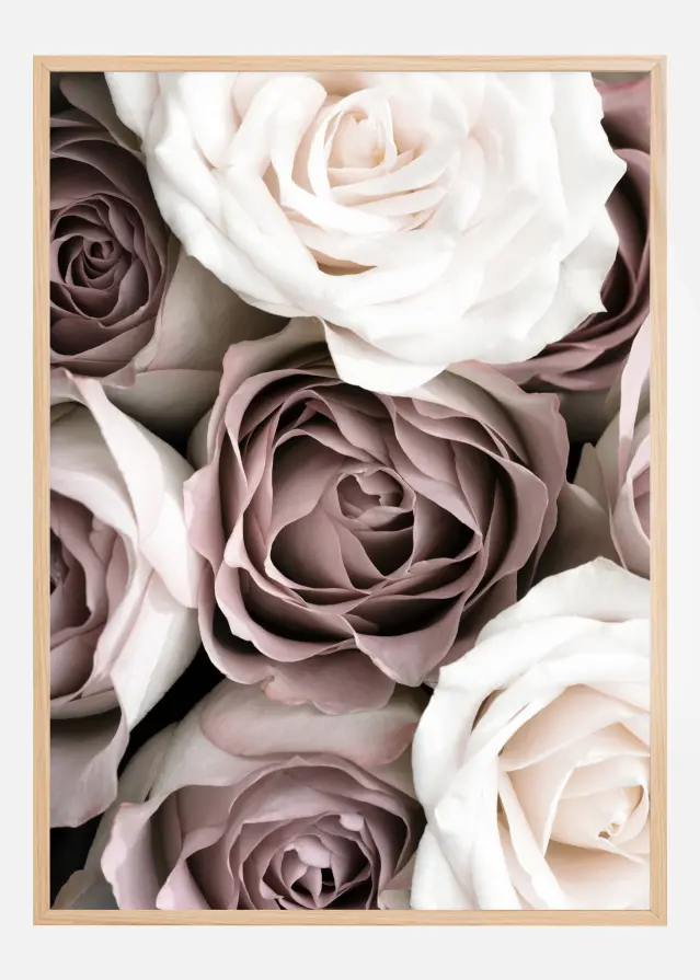 Roses Poster