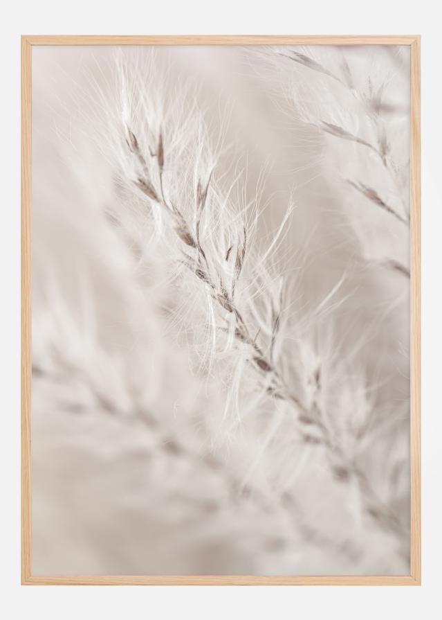 Beige Dried Straws lll Poster