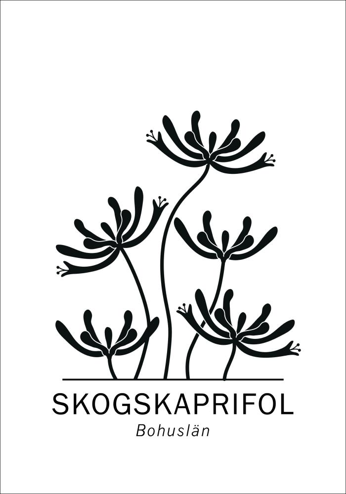 Skogskaprifol - Bohuslän Poster