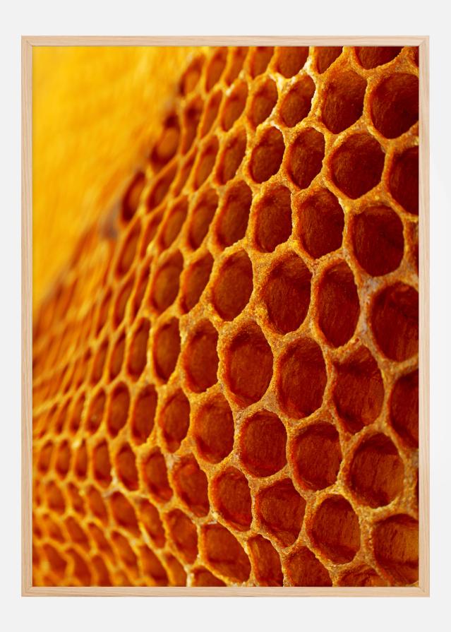 Honey Poster