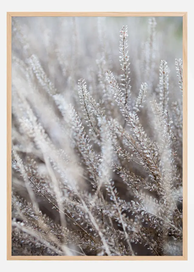 Frosty Grass Poster