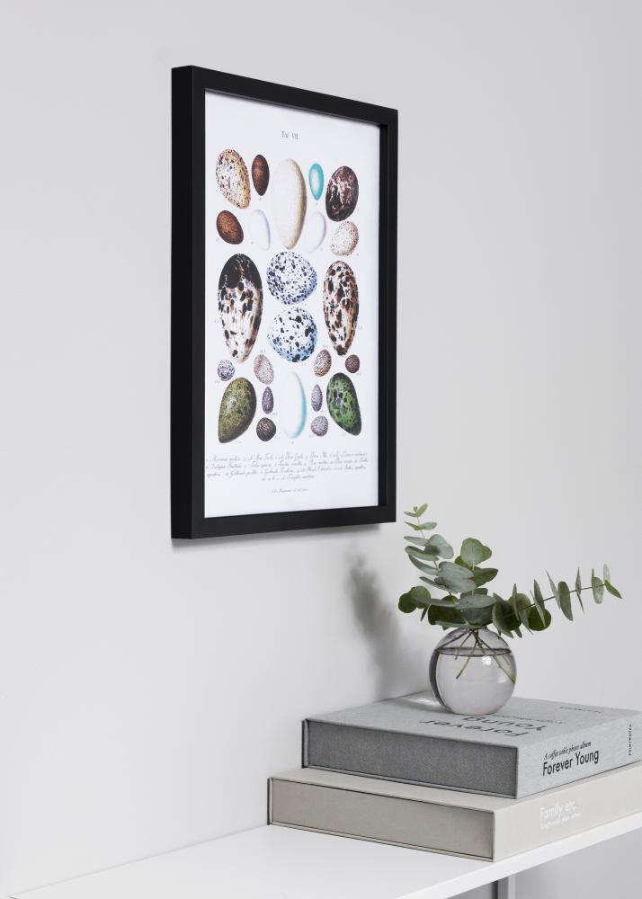 Exklusiv Svart 40x50 cm