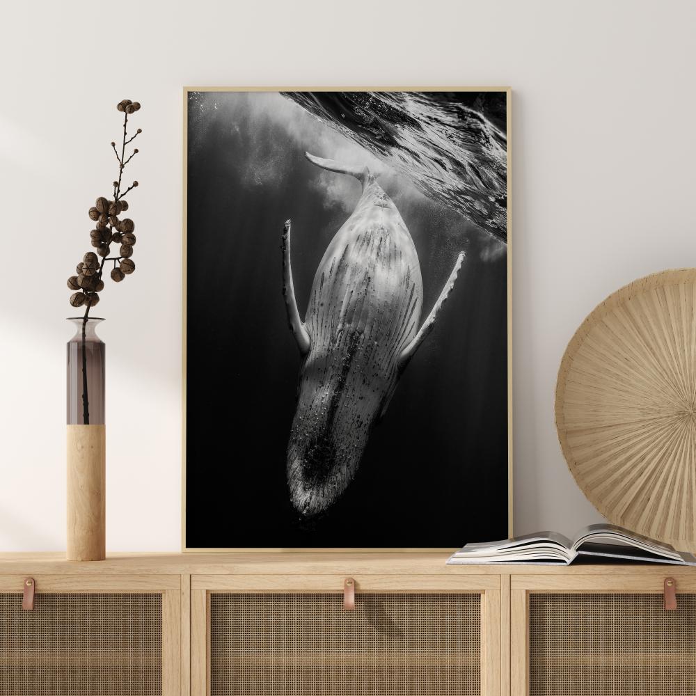 Black A Whale Poster