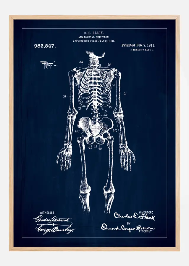 Dessin de brevet - Squelette anatomique I - Bleu Poster