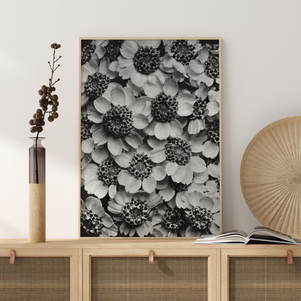 Black And White Flowers Poster