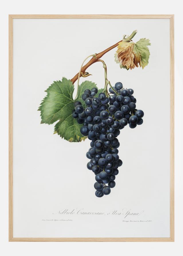 Grapes Poster