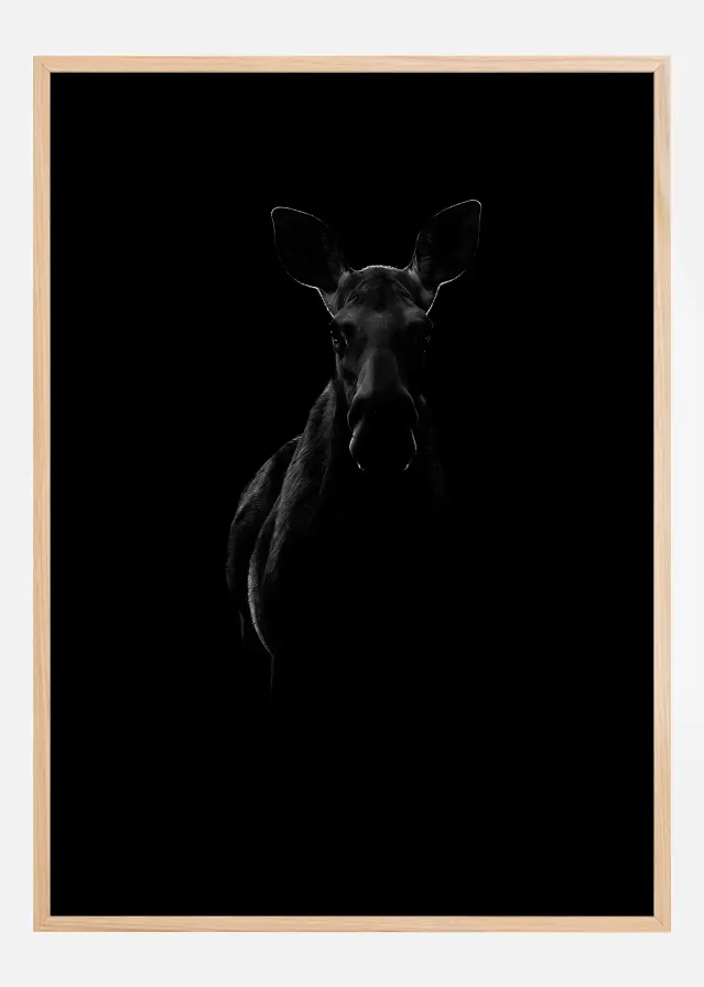 Black Moose Poster