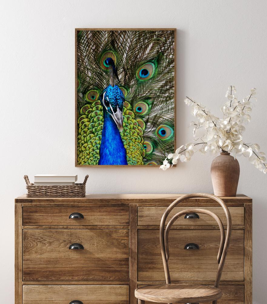 Peacock I Poster