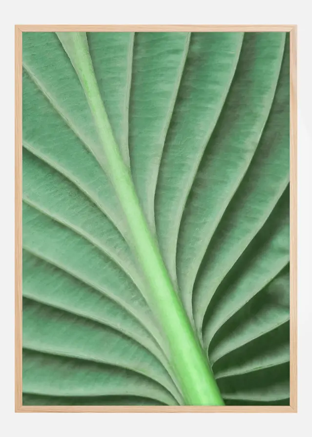 Leaf Poster