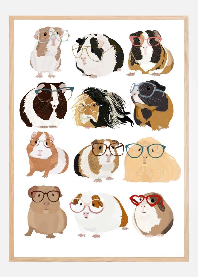 Guinea Pig in Glasses Poster