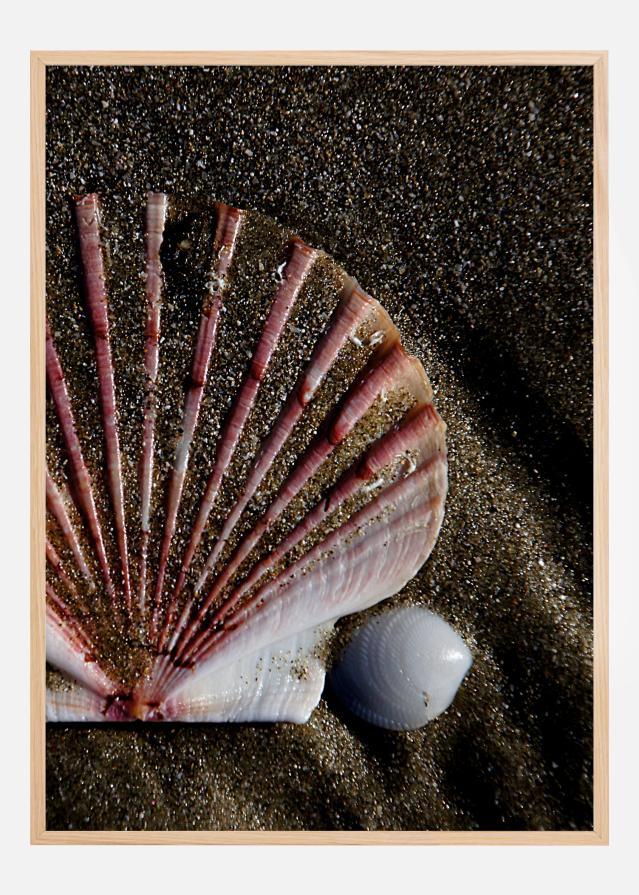 Shell Poster